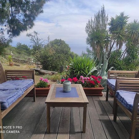 Villa Athos Sarti Exteriér fotografie