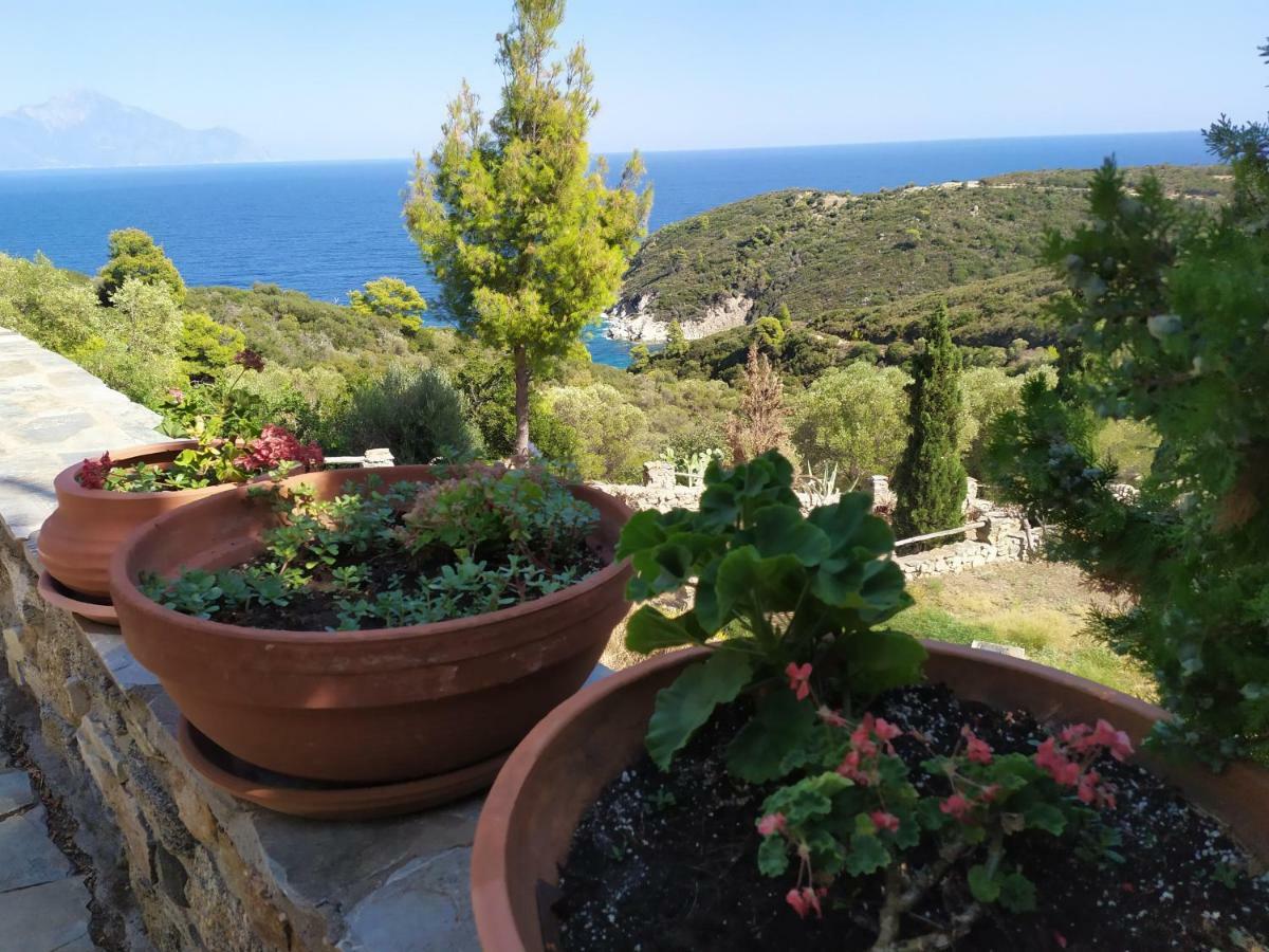 Villa Athos Sarti Exteriér fotografie